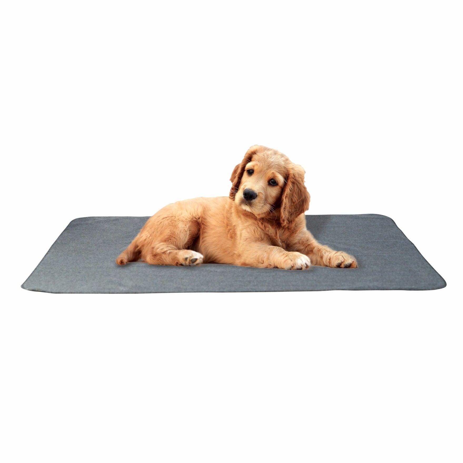 CozyPaw Pet Mat