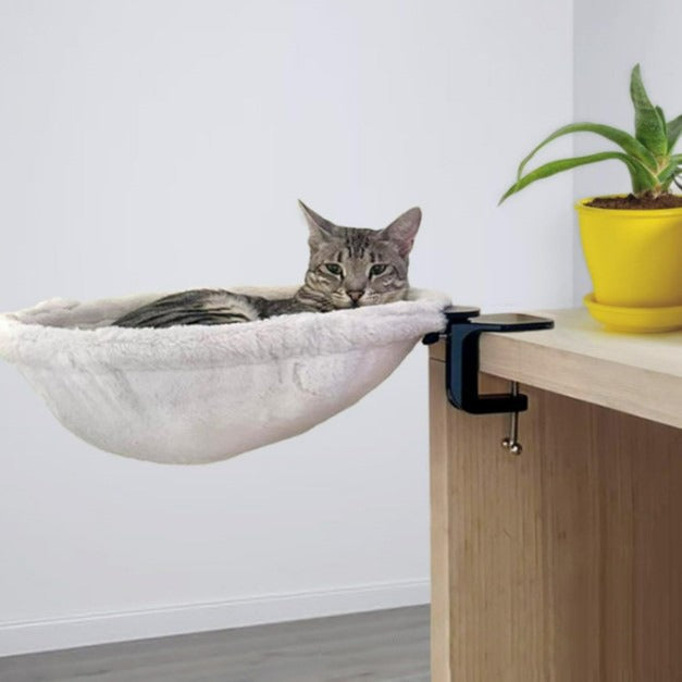 FoldaCat Window Hammock