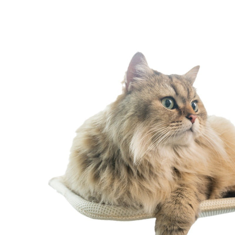 FoldaCat Window Hammock